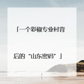 一个彩椒专业村背后的“山东密码”