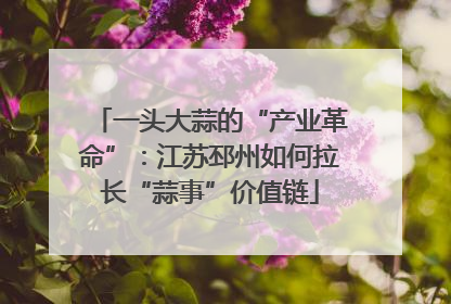 一头大蒜的“产业革命”：江苏邳州如何拉长“蒜事”价值链