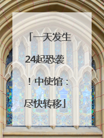一天发生24起恐袭！中使馆：尽快转移