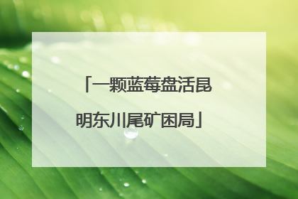 一颗蓝莓盘活昆明东川尾矿困局