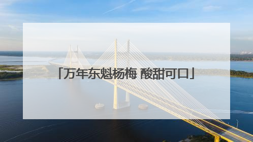 万年东魁杨梅 酸甜可口