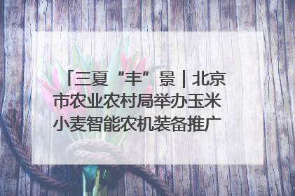 三夏“丰”景｜北京市农业农村局举办玉米小麦智能农机装备推广“田间日”活动