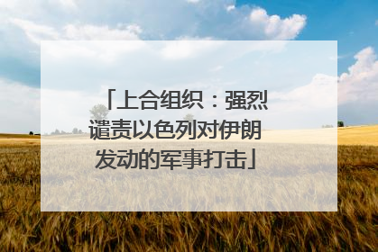 上合组织：强烈谴责以色列对伊朗发动的军事打击