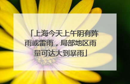 上海今天上午阴有阵雨或雷雨，局部地区雨量可达大到暴雨
