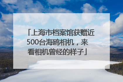 上海市档案馆获赠近500台海鸥相机，来看相机曾经的样子