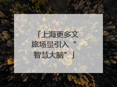 上海更多文旅场景引入“智慧大脑”