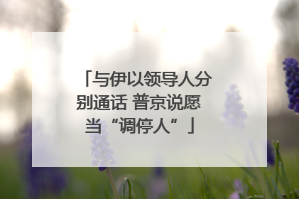 与伊以领导人分别通话 普京说愿当“调停人”