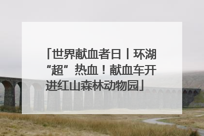 世界献血者日丨环湖“超”热血！献血车开进红山森林动物园