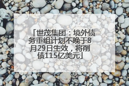 世茂集团：境外债务重组计划不晚于8月29日生效，将削债115亿美元