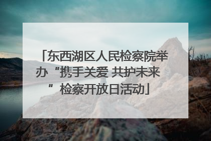 东西湖区人民检察院举办“携手关爱 共护未来”检察开放日活动