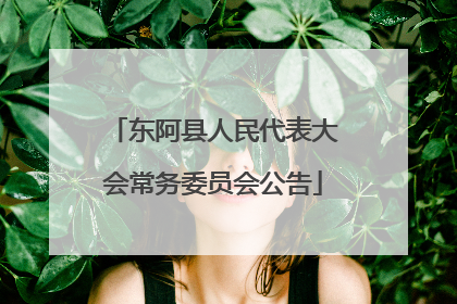 东阿县人民代表大会常务委员会公告