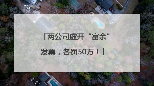 两公司虚开“富余”发票，各罚50万！