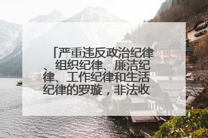 严重违反政治纪律、组织纪律、廉洁纪律、工作纪律和生活纪律的罗璇，非法收受他人巨额财物