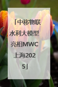 中移物联水利大模型亮相MWC上海2025