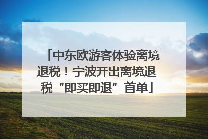 中东欧游客体验离境退税！宁波开出离境退税“即买即退”首单