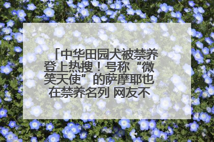 中华田园犬被禁养登上热搜！号称“微笑天使”的萨摩耶也在禁养名列 网友不解西安多部门回应