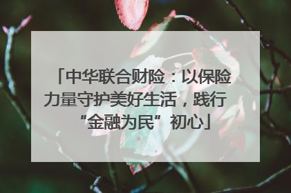 中华联合财险：以保险力量守护美好生活，践行“金融为民”初心