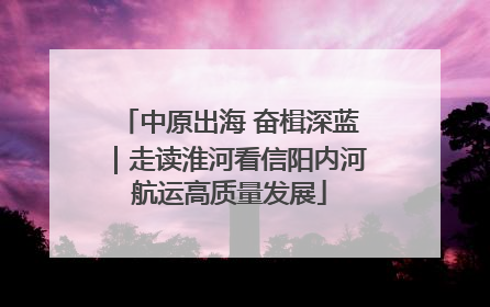 中原出海 奋楫深蓝｜走读淮河看信阳内河航运高质量发展