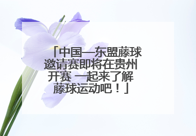 中国—东盟藤球邀请赛即将在贵州开赛 一起来了解藤球运动吧！