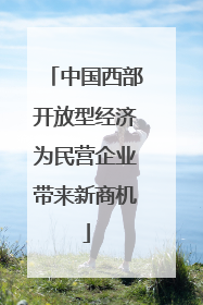 中国西部开放型经济为民营企业带来新商机