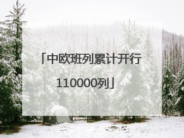 中欧班列累计开行110000列