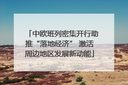中欧班列密集开行助推“落地经济” 激活周边地区发展新动能