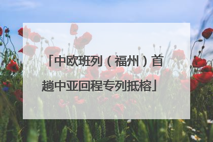 中欧班列（福州）首趟中亚回程专列抵榕