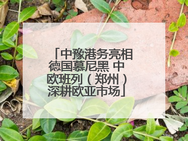 中豫港务亮相德国慕尼黑 中欧班列（郑州）深耕欧亚市场