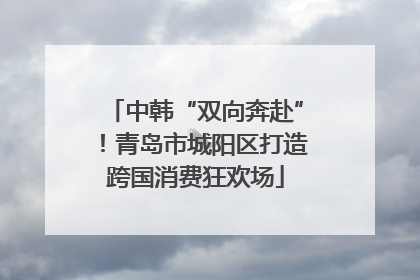 中韩“双向奔赴”！青岛市城阳区打造跨国消费狂欢场