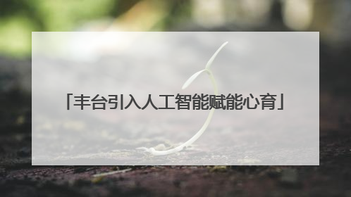 丰台引入人工智能赋能心育