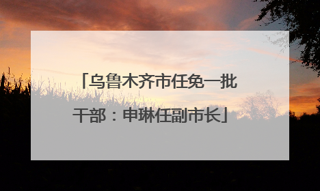 乌鲁木齐市任免一批干部：申琳任副市长