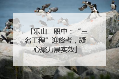 乐山一职中：“三名工程”迎终考，凝心聚力展实效