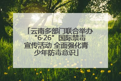 云南多部门联合举办“6·26”国际禁毒宣传活动 全面强化青少年防毒意识