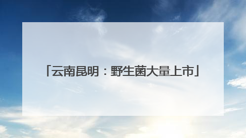 云南昆明：野生菌大量上市