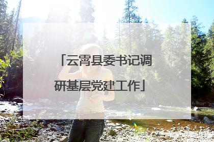 云霄县委书记调研基层党建工作