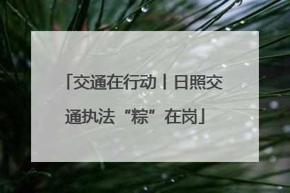 交通在行动丨日照交通执法“粽”在岗