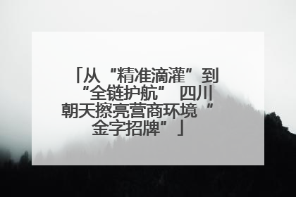 从“精准滴灌”到“全链护航” 四川朝天擦亮营商环境“金字招牌”