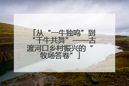 从“一牛独鸣”到“千牛共舞”——古渡河口乡村振兴的“牧场答卷”