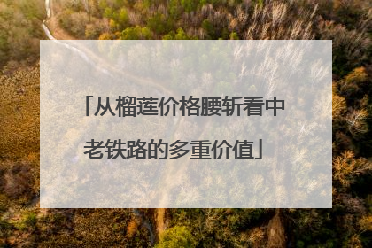 从榴莲价格腰斩看中老铁路的多重价值