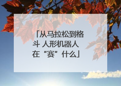 从马拉松到格斗 人形机器人在“赛”什么