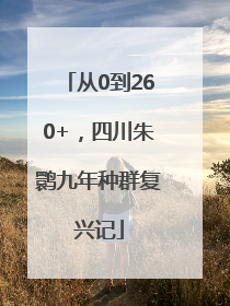 从0到260+，四川朱鹮九年种群复兴记