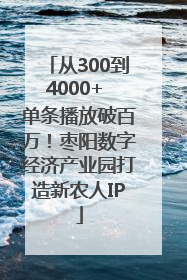 从300到4000+ 单条播放破百万！枣阳数字经济产业园打造新农人IP