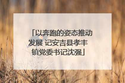 以奔跑的姿态推动发展 记安吉县孝丰镇党委书记沈强