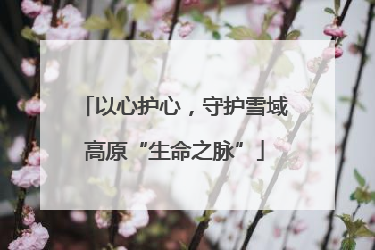 以心护心，守护雪域高原“生命之脉”
