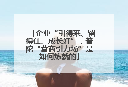 企业“引得来、留得住、成长好”，普陀“营商引力场”是如何炼就的