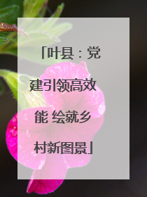 叶县：党建引领高效能 绘就乡村新图景