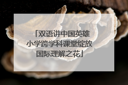 双语讲中国英雄 小学跨学科课堂绽放国际理解之花