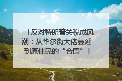 反对特朗普关税成风潮：从华尔街大佬蔓延到原住民的“合围”