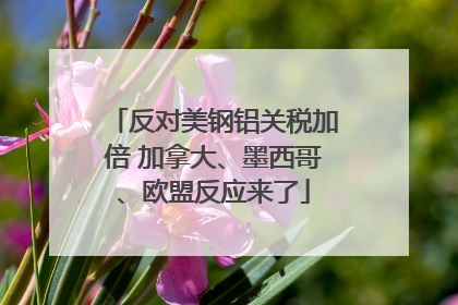 反对美钢铝关税加倍 加拿大、墨西哥、欧盟反应来了