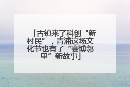 古镇来了科创“新村民”，青浦这场文化节也有了“赛博邻里”新故事